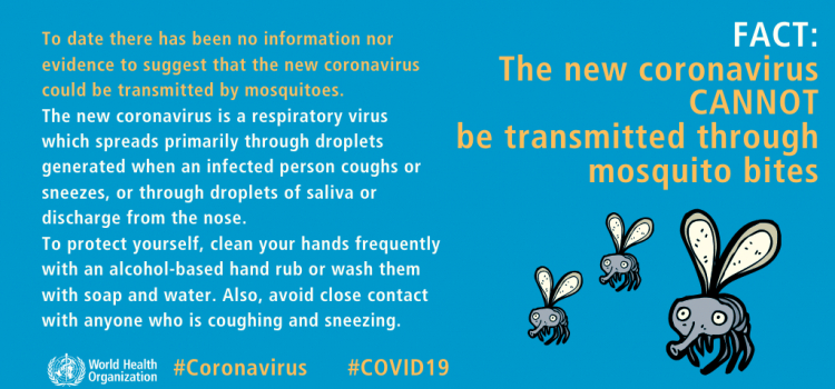 COVID-19 CANNOT be transmitted through mosquito bites